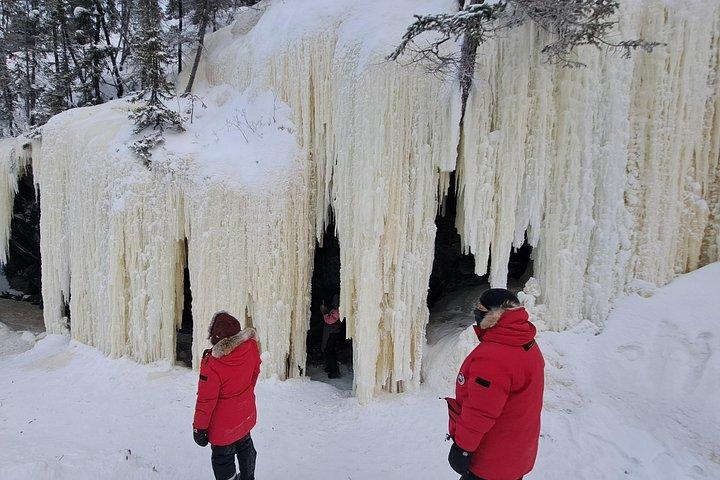 Aventure motoneige pour débutants à Yellowknife