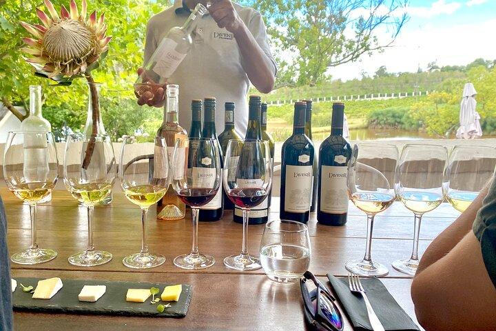 Excursion privée tout compris dans les vignobles du Cap de Stellenbosch