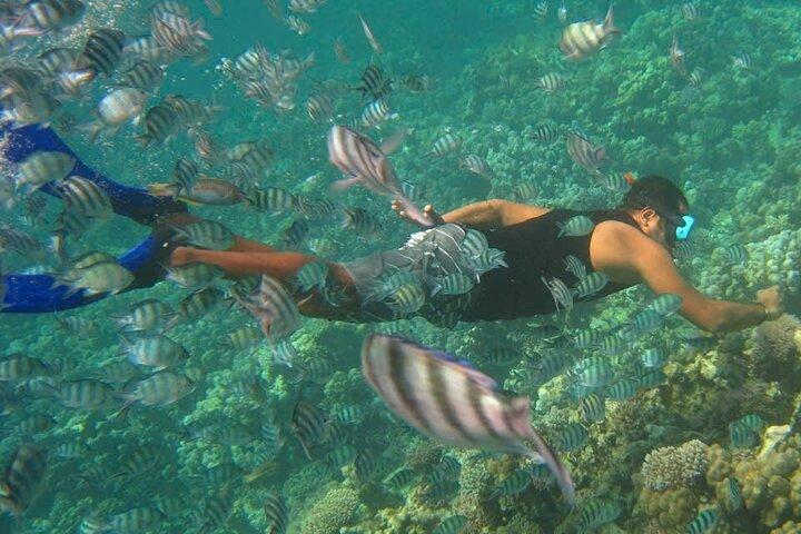 Nha Trang Snorkeling Fishing BBQ and Mini Beach Relaxation Tour