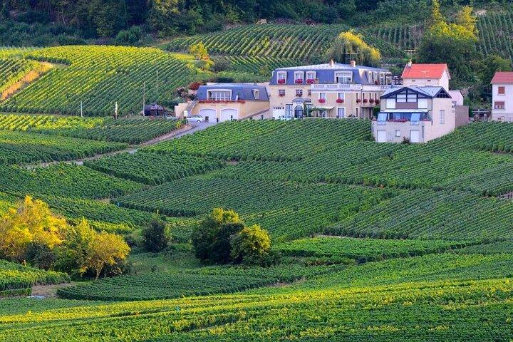 Epernay South Visita de meio dia e degustações de champanhe