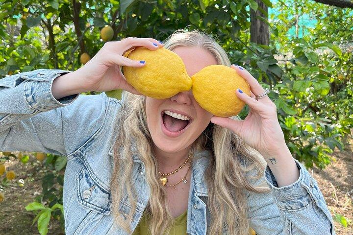 Sorrento Lemon Picking Tour & Limoncello Tasting