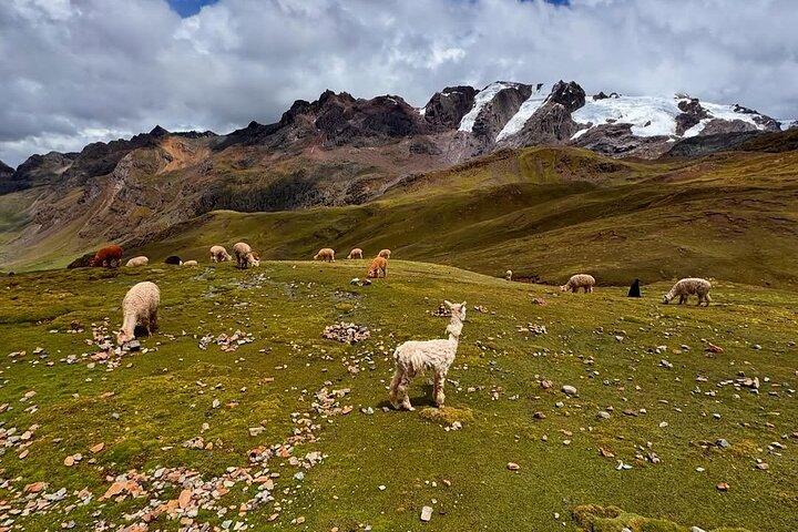 Cusco Rainbow Mountain med buffet frokost og Red Valley valgfrit