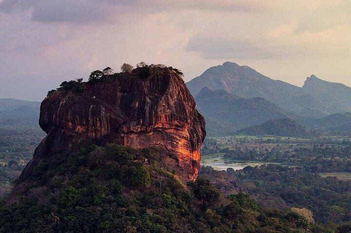 Da Colombo Sigiriya e Dambulla Gita di un giorno e Safari