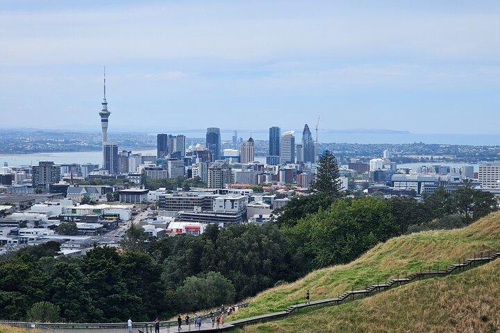 Auckland City Highlight Halvdagstur