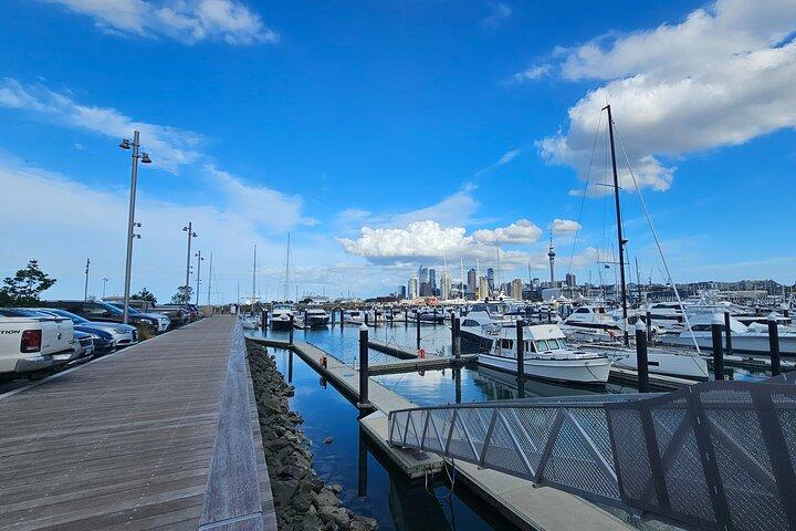 Auckland City Highlight Halvdagstur