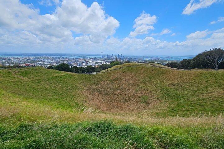 Auckland City Highlight Halvdagstur