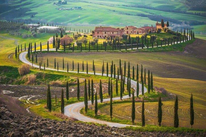 Montepulciano Noble Wines Tour i Toscana från Rom