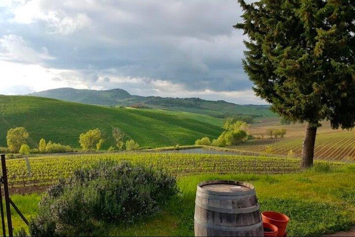 Montepulciano Noble Wines Tour i Toscana från Rom