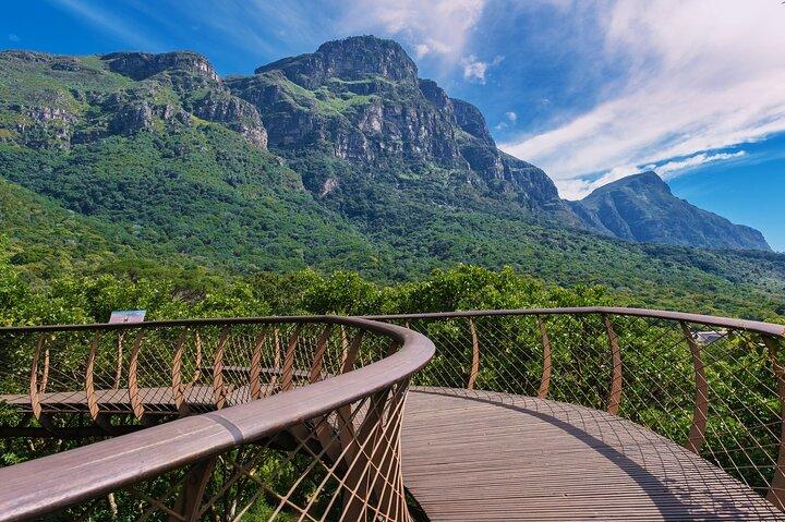 Halbtagestour: Tafelberg & KirstenBosch Botanischer Garten
