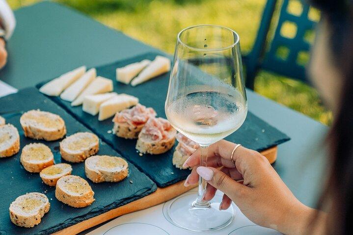 Dégustation de vins et de mets dans les vignes à Lazise