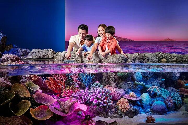 Entradas SEA LIFE Bangkok Ocean World y Madame Tussauds