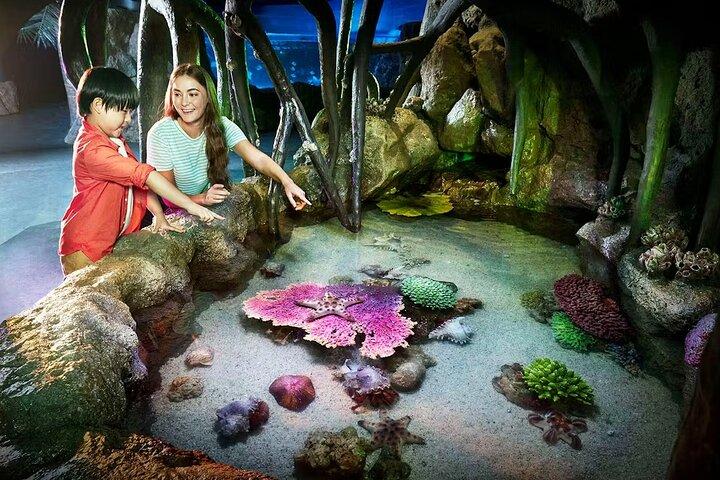 SEA LIFE バンコクオーシャンワールド＆マダムタッソー館チケット