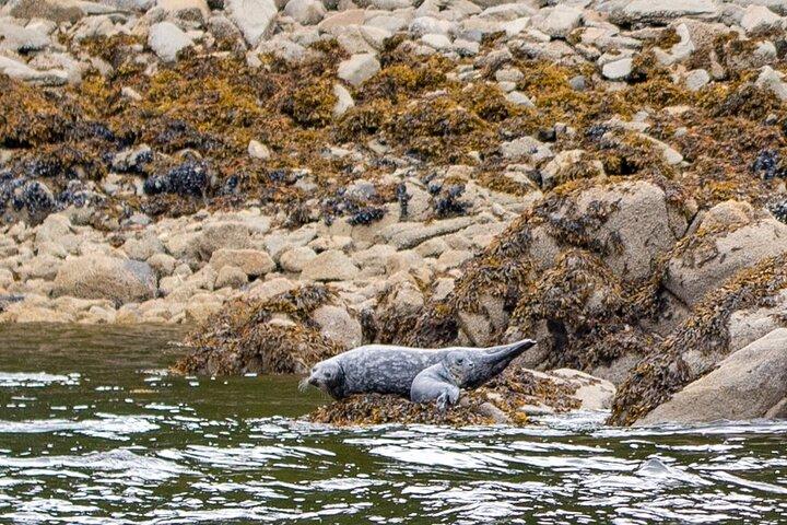 プライベートツアー：アラスカの野生動物＆景色、グループサイズ別料金