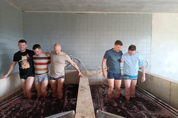 Wijnles Portugal op een kleine boerderij met een bezoek aan de wijnmakerij