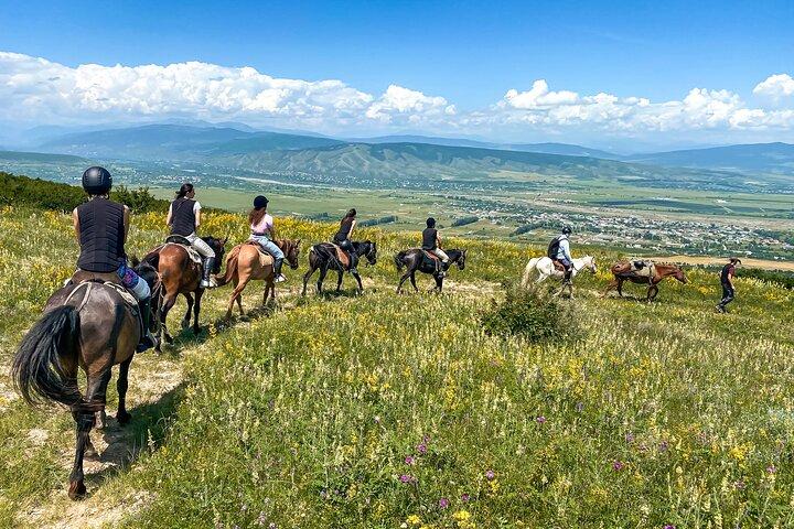 Excursión a caballo de 1 día en Palomino Ranch