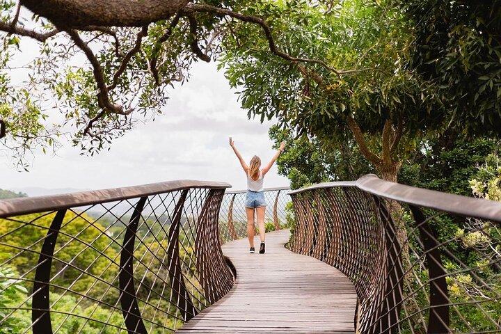 Halbtagestour: Tafelberg & KirstenBosch Botanischer Garten