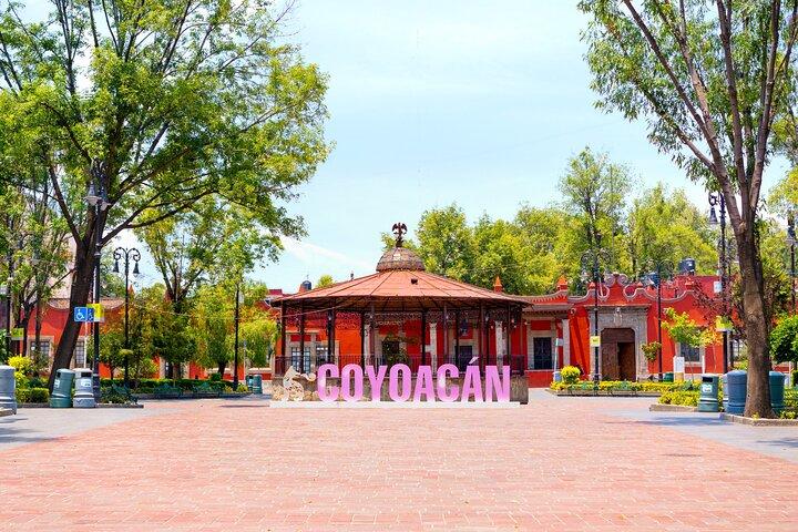 Xochimilco e Coyoacán e Museo Frida Kahlo opzionale