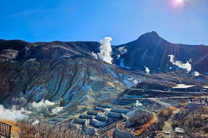 Mt fuji & Hakone customizable day tour w/ English speaking driver