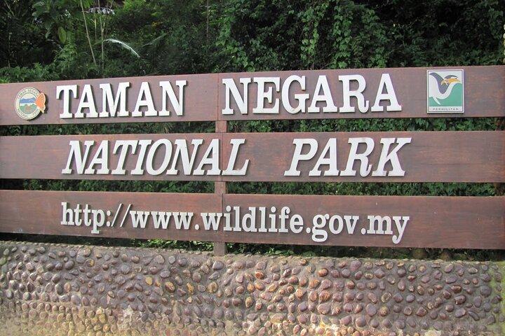 Abenteuerliche Taman Negara-Tour ab Kuala Lumpur
