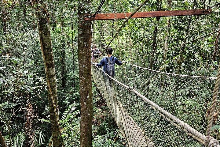 クアラルンプール発タマンネガラアドベンチャーツアー