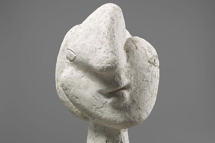 Picasso Museum Parijs 2-uur durende rondleiding met gids