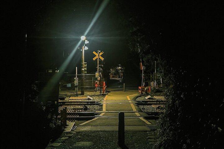 京都ゴーストツアー： 暗黒物語、都市伝説、竹林の夜