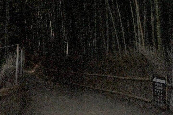 京都ゴーストツアー： 暗黒物語、都市伝説、竹林の夜