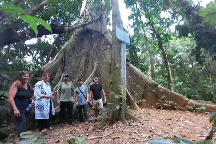 Cuc Phuong Van Long Nature Reserve 1 Day Trip from Hanoi