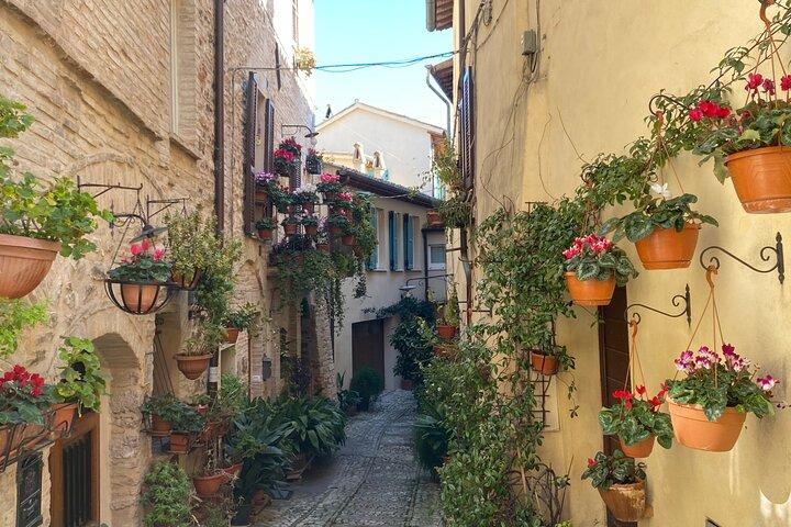 Tour a piedi della splendida Spello