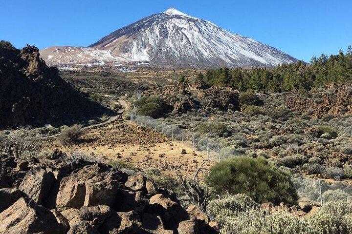 Origine: Teide - Un viaggio nel cuore vulcanico di Tenerife.