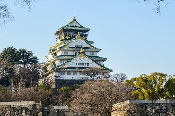 Visite privée de la ville d'Osaka Cherry Blossom