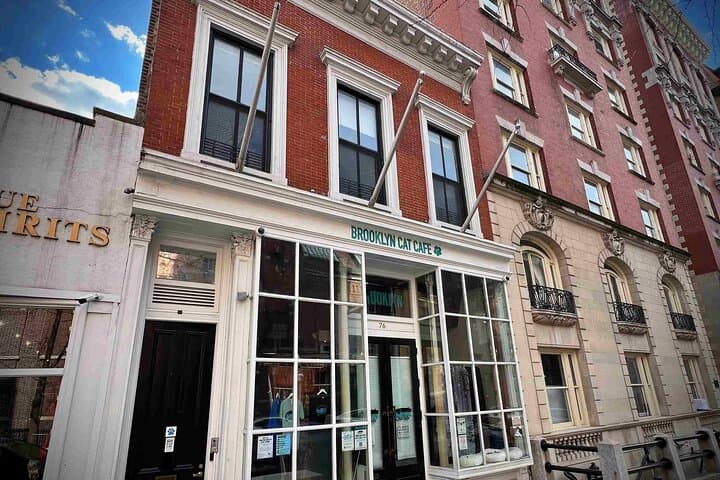 Splendor and Scandal in Brooklyn Heights: A Self Guided Tour