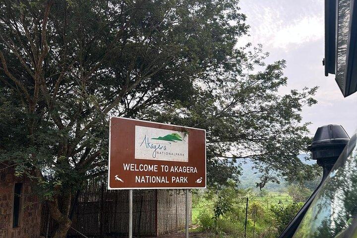 Safari di un'intera giornata alla scoperta della fauna selvatica del Parco Nazionale dell'Akagera
