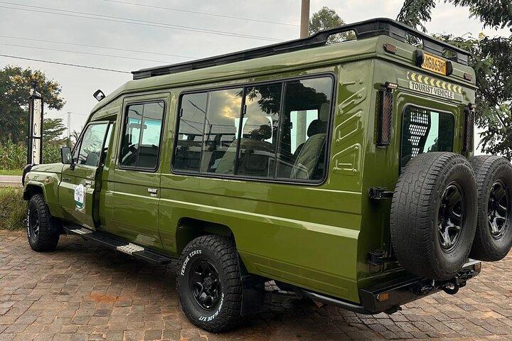 Fulddagsafari af opdagelse i Akagera Nationalparks vilde dyr