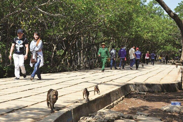 Tour privato alla scoperta di Monkey Island e mangrovie