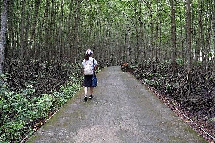 Monkey Island and Mangrove Forest Eco Tour from Ho Chi Minh