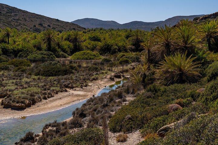 Excursión directa de un día a Creta y Heraclión