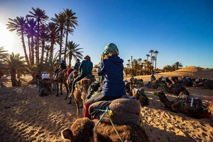 Giro in cammello ad Agadir con cena barbecue