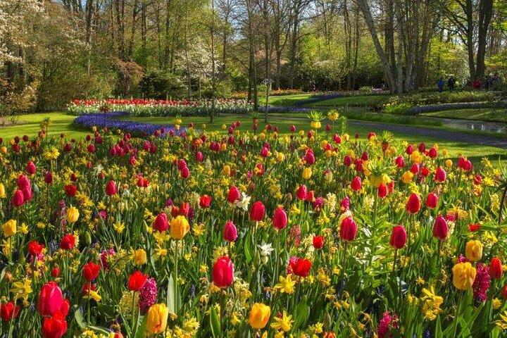 Keukenhof et Volendam depuis Amsterdam avec Guide et Chauffeur