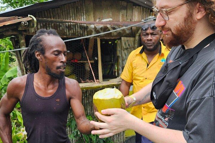 Excursion privée de la Jamaïque au départ d'Ocho Rios