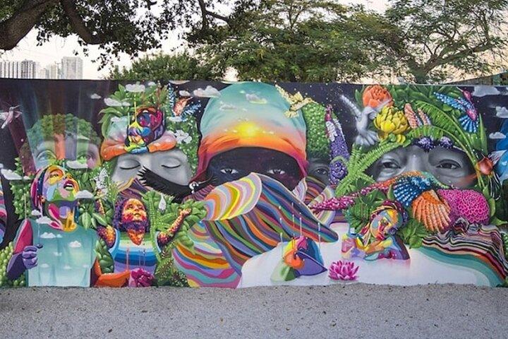Tour privato dell'arte di Miami Vizcaya Wynwood Walls e Art Deco