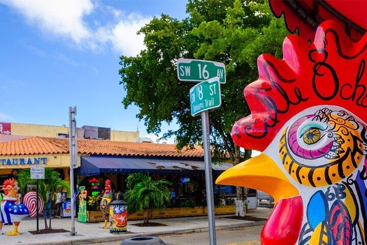 Tour privato dell'arte di Miami Vizcaya Wynwood Walls e Art Deco