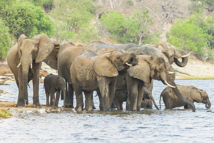 5 dage Tsavo West Amboseli og Tsavo East fra Mombasa