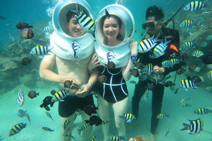 Nha Trang Bay Sea Walking Tour Discover Ocean Wonders