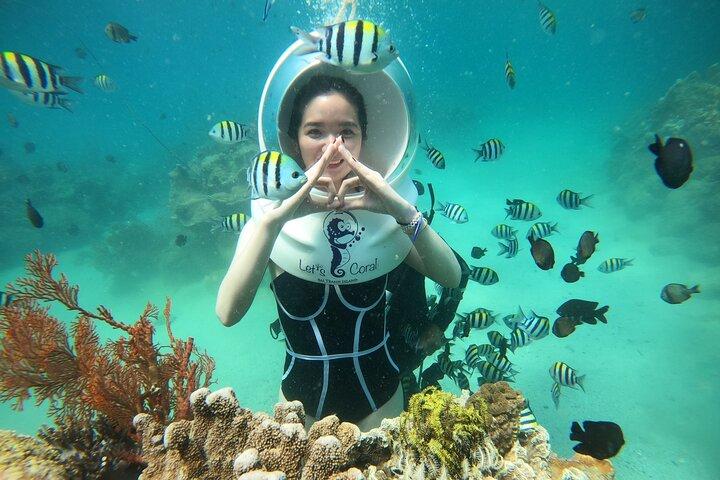 Nha Trang Bay vandretur opdage havets vidundere