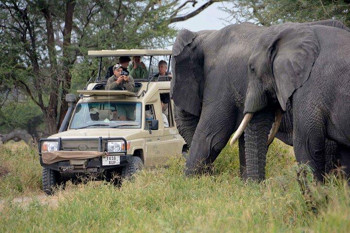3 Days Amboseli National Park Luxury Safari on 4×4 Jeep