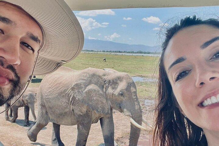 Excursion d'une journée au parc national Amboseli avec droits d'entrée au parc