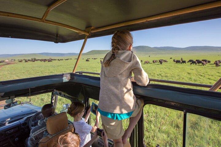 Excursion d'une journée au parc national Amboseli avec droits d'entrée au parc