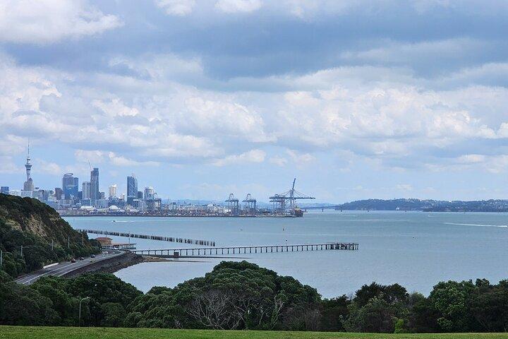 Visite des points forts de la ville d'Auckland