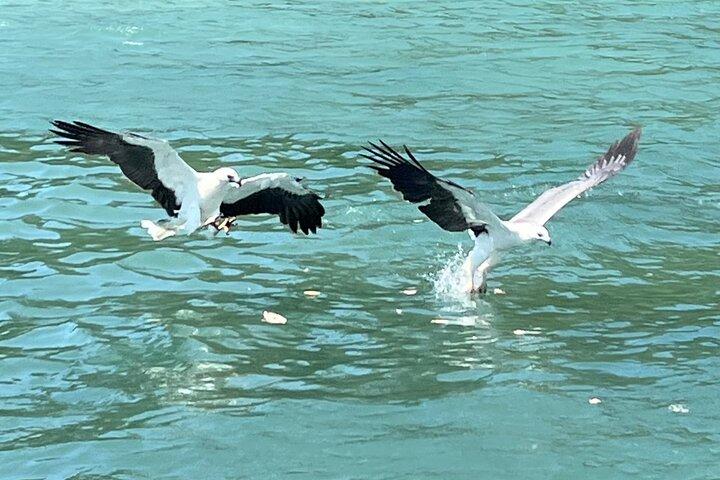 プレミアムランカウイ島ホッピングツアー